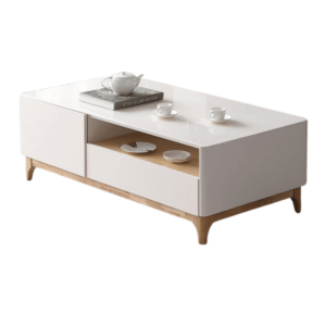Modern Storage Coffee Table