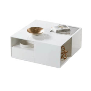 Storage Coffee Table